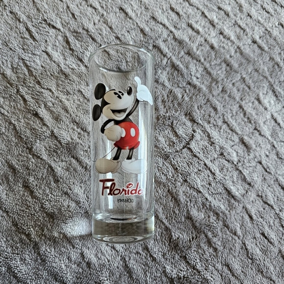 Other - Disney World Double Shot Glass Florida